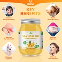sea-moss-gel---185oz-mango-pineapple-fla-3.jpg