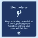 smartequine-smartlytes-horse-electrolyte-5.jpg