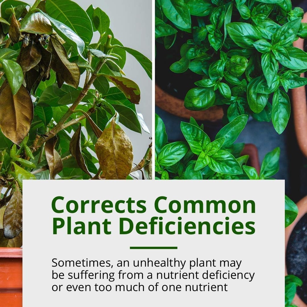 humboldts-secret-calmag-iron-supplement--3.jpg