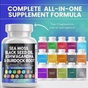 sea-moss-black-seed-oil-ashwagandha-burd-4.jpg