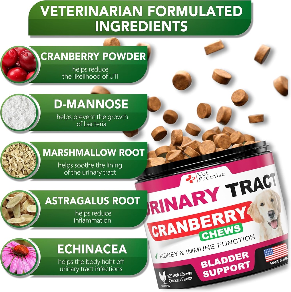 dog-uti-treatment---cranberry-supplement-3.jpg