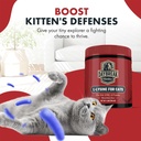 l-lysine-for-cats-and-kittens---900-mg-l-3.jpg