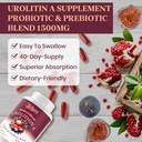 urolithin-a-supplement-1500mg-advanced-u-5.jpg
