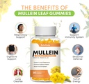 mullein-gummies-for-clear-lungs-10-in-1--3.jpg