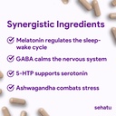 sleep-plus-supplement-with-melatonin-gab-2.jpg