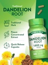natures-truth-dandelion-root-capsules-18-5.jpg