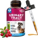 cat-dog-urinary-tract-infection-treatmen-4.jpg