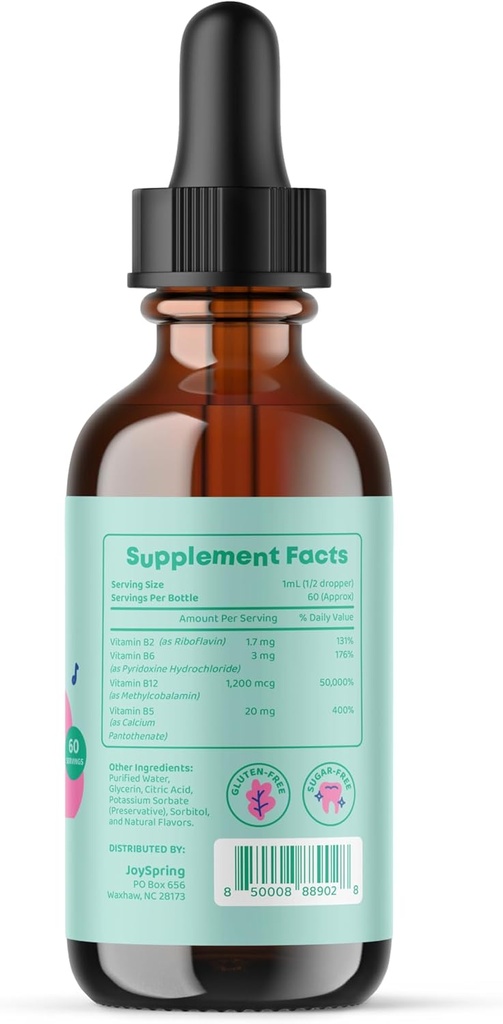 joyspring-b-complex-vital-vits-with-magn-4.jpg