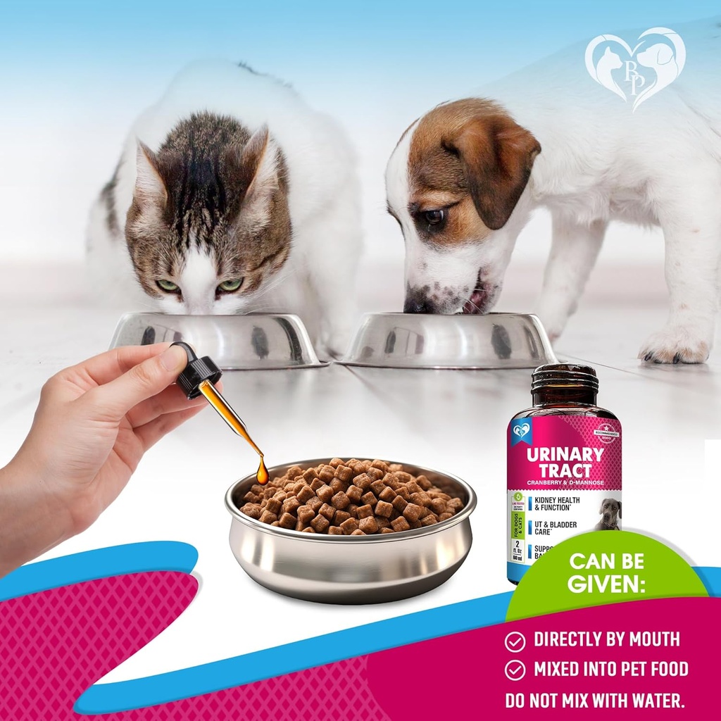 cat-dog-urinary-tract-infection-treatmen-6.jpg