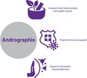 aor-andrographis-herbal-supplement-for-i-4.jpg