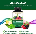 lifes-energy-advanced-daily-multivitamin-2.jpg
