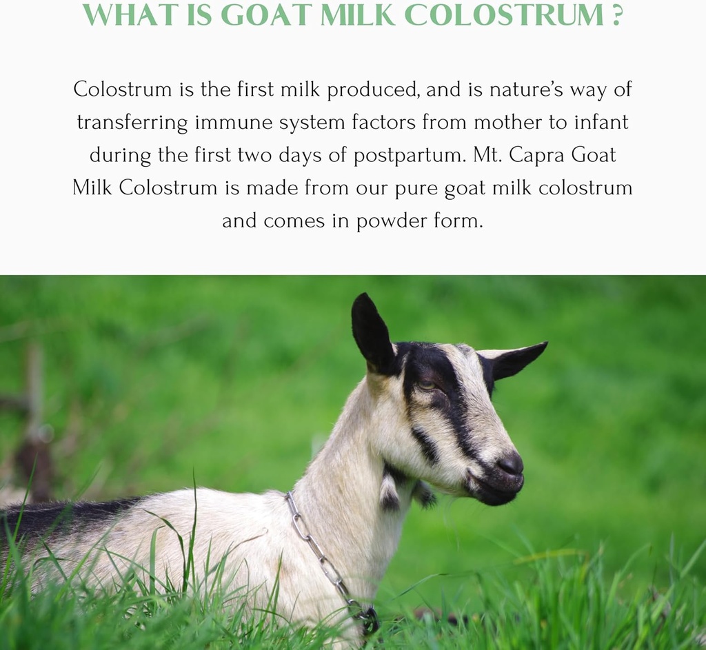 mt-capra-goat-milk-colostrum-for-healthy-4.jpg