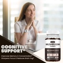 mushroom-gummies-10-blend-mushrooms-comp-4.jpg
