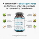 dr-brighten-adrenal-support---dietary-su-6.jpg