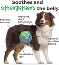 probiotics-for-dogs-with-4-billion-cfu-9-3.jpg