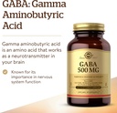 solgar-gaba-500-mg-100-vegetable-capsule-3.jpg