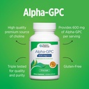 doctors-preferred-alpha-gpc-supplement---5.jpg