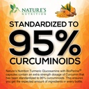 turmeric-curcumin-supplement-2000mg---95-5.jpg