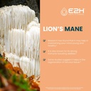 lions-mane---lions-mane-supplement---pro-3.jpg