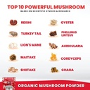 organic-mushroom-powder-extract--superfo-5.jpg