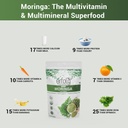 erfolg-100-organic-moringa-oleifera-leaf-4.jpg