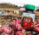 amazon-andes-red-maca-root-capsules---fe-5.jpg