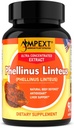 phellinus-linteus-mushroom-extract---pre-2.jpg