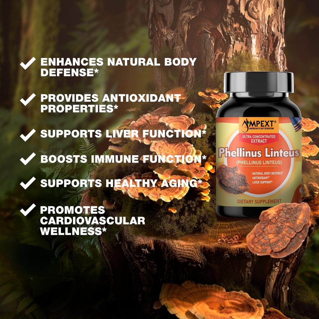 phellinus-linteus-mushroom-extract---pre-6.jpg