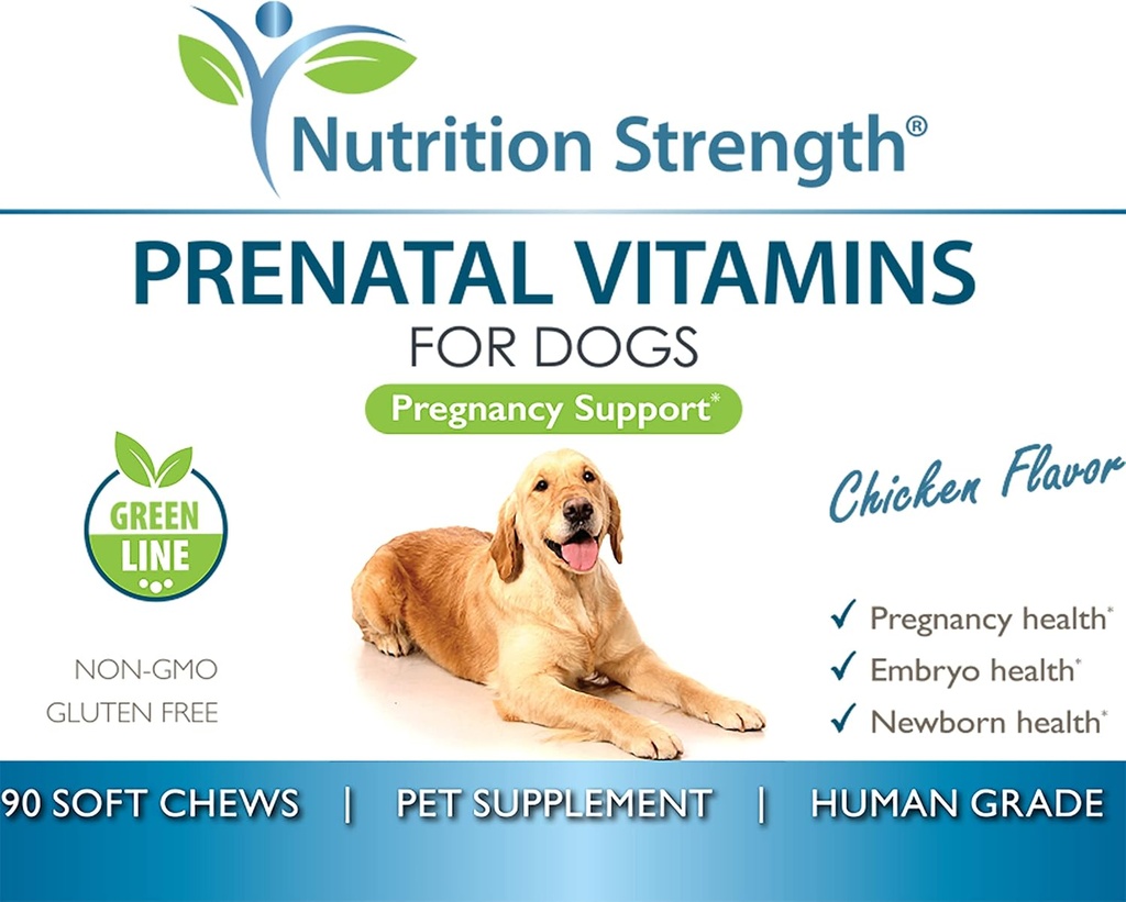 prenatal-vitamins-for-dogs-to-support-de-6.jpg