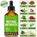 dog-antibiotics-for-infection-coughs-uti-3.jpg