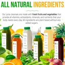5-day-juice-cleanse-by-raw-fountain-all--5.jpg
