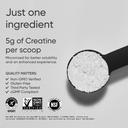 sports-research-creatine-monohydrate-enh-6.jpg