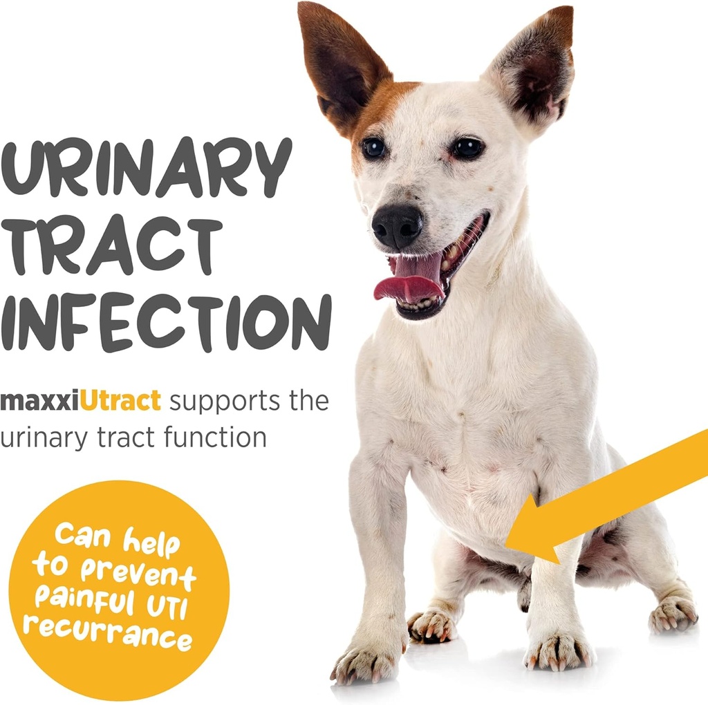 maxxipaws-maxxiutract-urinary-bladder-su-3.jpg