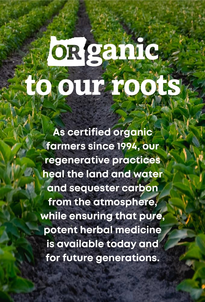 oregon-s-wild-harvest-echinacea-goldense-6.jpg