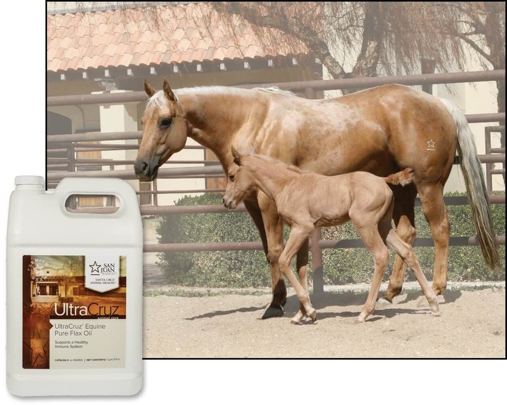 ultracruz-equine-pure-flax-oil-4-x-1-gal-4.jpg