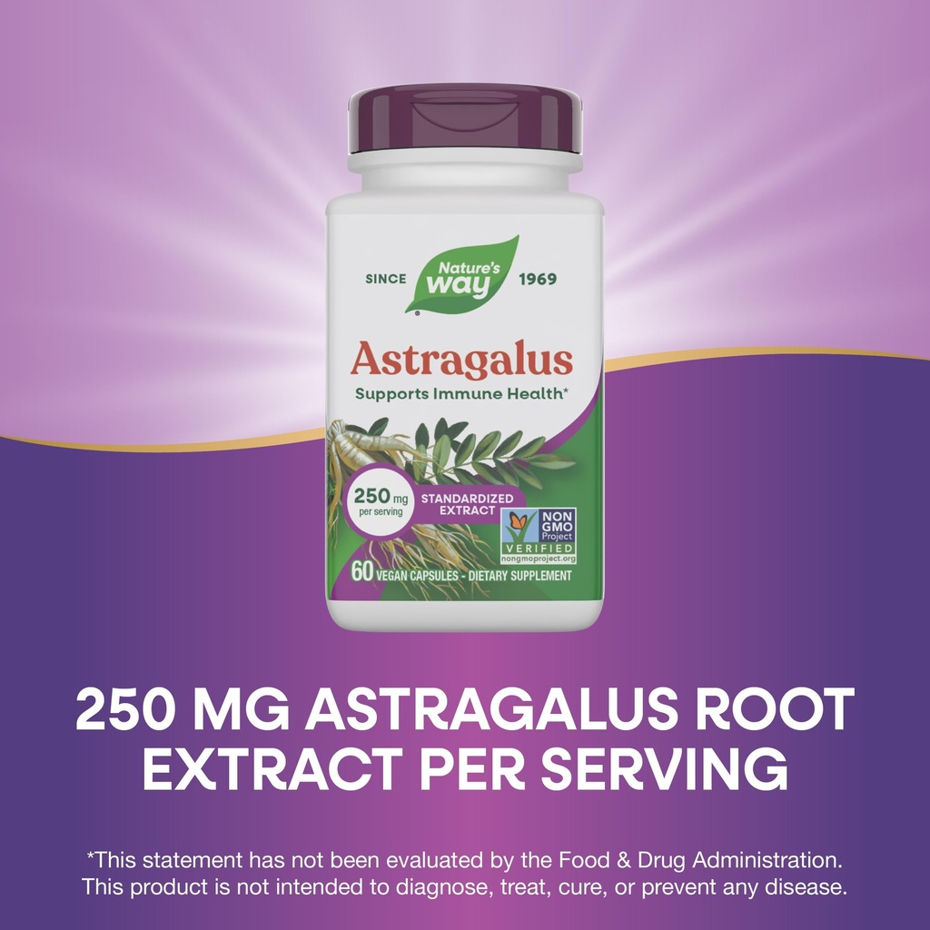 nature-s-way-astragalus-premium-extract--4.jpg