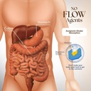 dr-clark-oregano-tooth-powder-3oz-natura-3.jpg