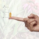 nature-s-answer-urinary-tract-health-fas-4.jpg