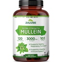 Zazzee Extra Force Mullein 10:1 Extract, 3000 mg Putere, 120 capsule Vegan, 4 luni de aprovizionare, Standardizat 10X Extract, 100% Pure Leaf pulbere, All-Natural și non-GMO, Made in the USA
