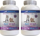 Cat Bad Respirație Tratamente - CAT Sănătatea dinților - Advanced Mouth Health Complex - Boost imunitar - Vitamina b12 pentru pisici - 2 sticle (120 comprimate)
