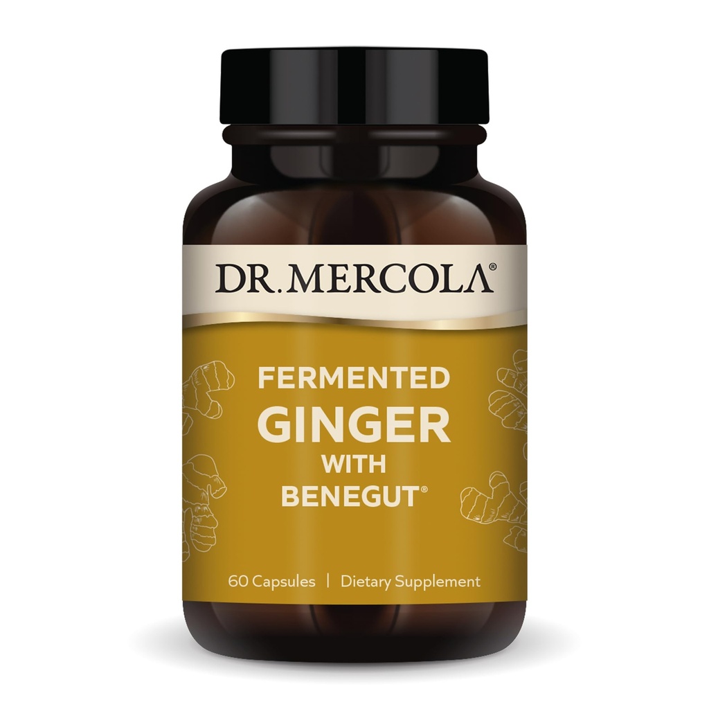 Dr. Mercola Fermented Ginger cu Benegut - Suporturi Digestive & Gut Health - SIDA Gaz ocazional, Blooting & Discomfort - Non-GMO, Gluten-Free & Soy-Free - 60 capsule (60 Servings)