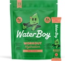 Waterboy Workout Hidratare 