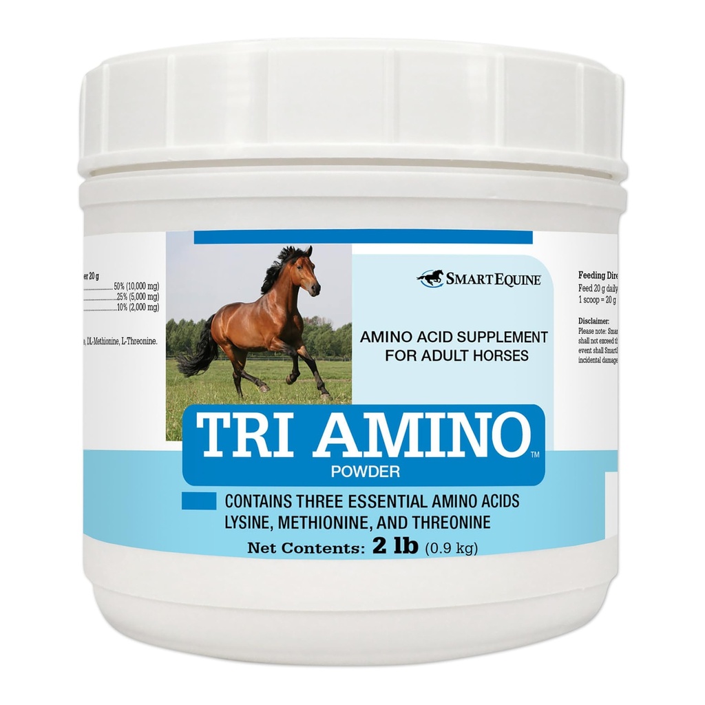 SmartEchine Tri 