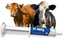 Ruminanți Pre și Probiotic Paste (80g)- Pre și Probiotice cu vitamine și minerale- 6 Tulpini și 8 Miliarde CFU- Immune și Gastro Health Support pentru toți Ruminanții: Bovine, caprine și mai mult