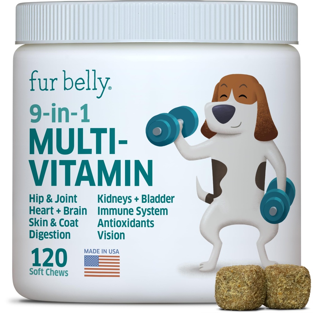 Câine Multivitamine - Vitamine și suplimente de câine - Enzime digestive și probiotice - Probiotice pentru câini - pentru alergiile pielii și a hainelor - Sistemul imunitar și sănătatea generală - 120 chiftele moi