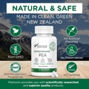 Palmitoiletanolamidă Pea Supliment 600mg - Micronized Pea Suplimente 99% - 2 luni de aprovizionare - Advanced Natural Support for Joint Comfort
