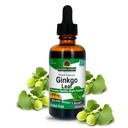 Răspunsul naturii fără alcool Ginkgo Leaf 2000mg Extract 2oz 