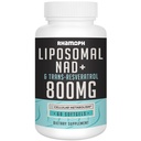 NAD lipozomal + 800 mg cu trans-resveratrol 300 mg, absorbţie maximă, NAD actual + Booting Supliment pentru imbatranire sanatoasa, energie celulara, repararea ADN-ului, Longevity - 60 Softgels