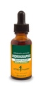 Herb Pharm Andrographis Extract lichid pentru suport sistem imunitar, 1 Fl Oz (Pachetul de 1) (DANDRO01)