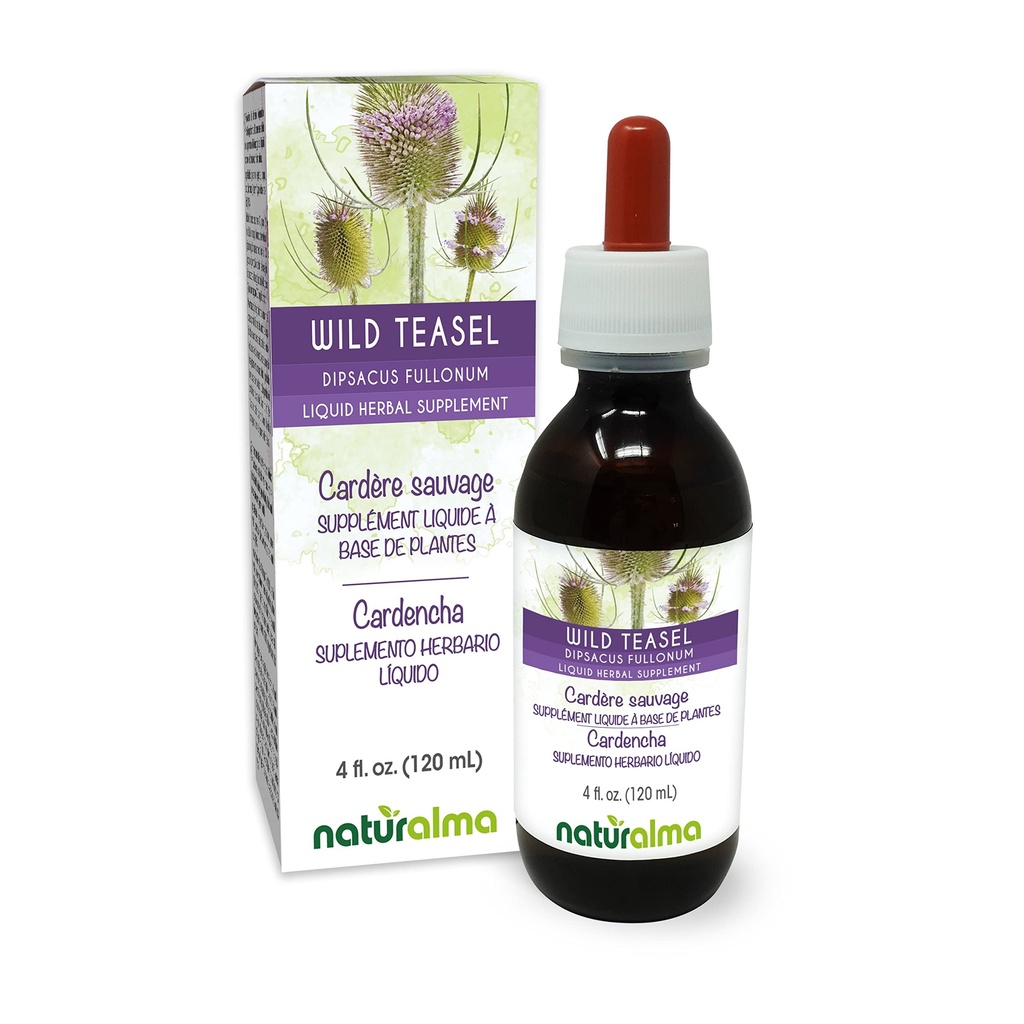 Naturalma Wild Teasel sau Fuller's Teasel (Dipsacus fullonum sau D. sylvestris) Root Alcool-Free Tincture - 4 fl oz Extract lichid în picături - Herbal Supplement - Vegan
